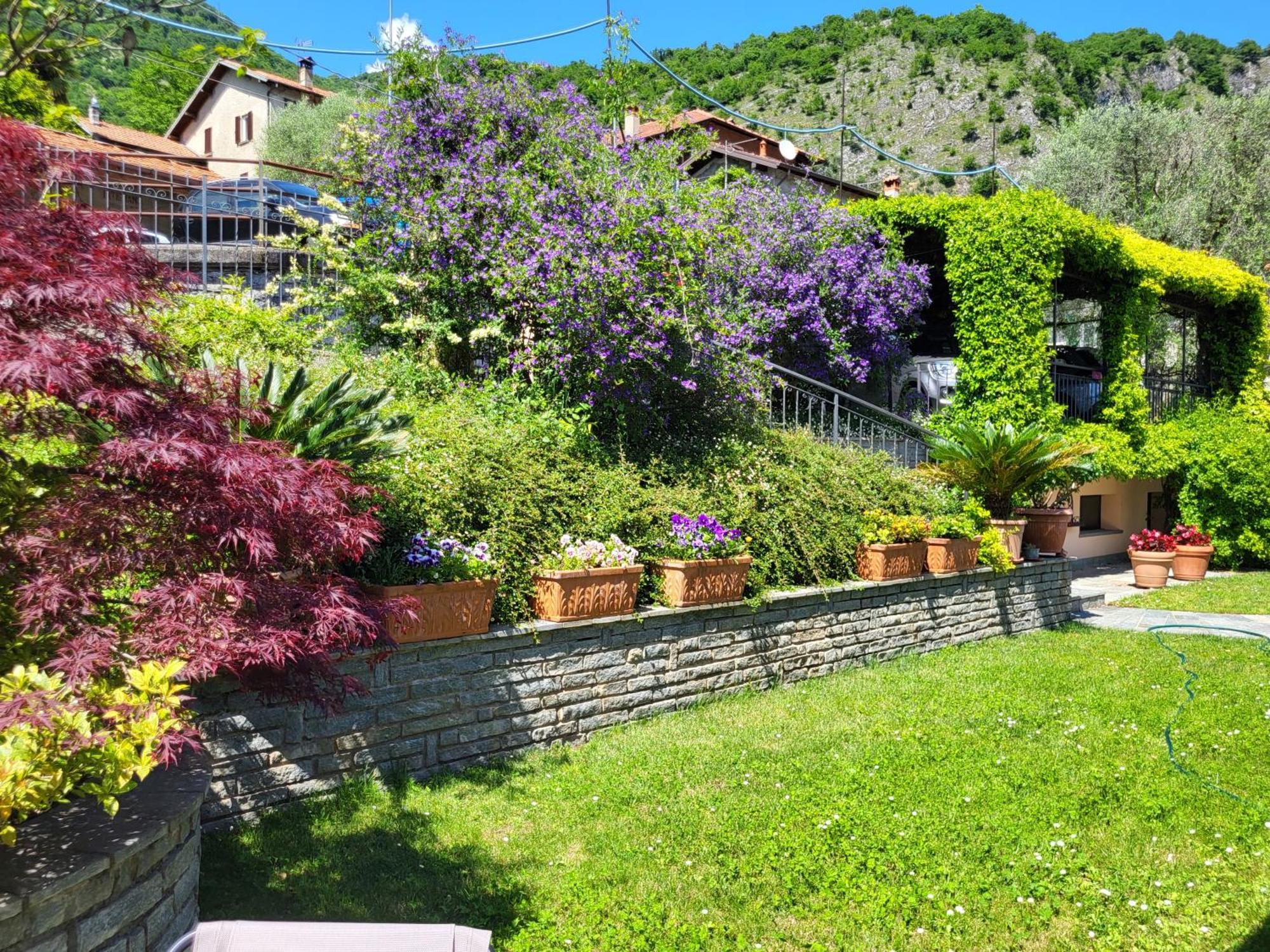 Casa Intignano - Appartamento Con Terrazzo Vista Lago Tremezzo Esterno foto