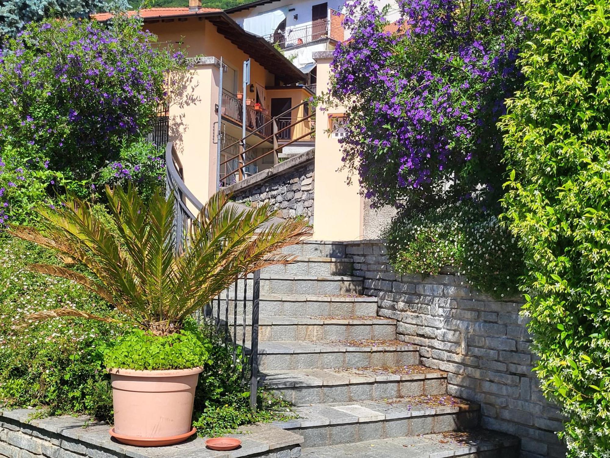 Casa Intignano - Appartamento Con Terrazzo Vista Lago Tremezzo Esterno foto